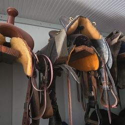 Misc Saddles Horse Tack Lot 