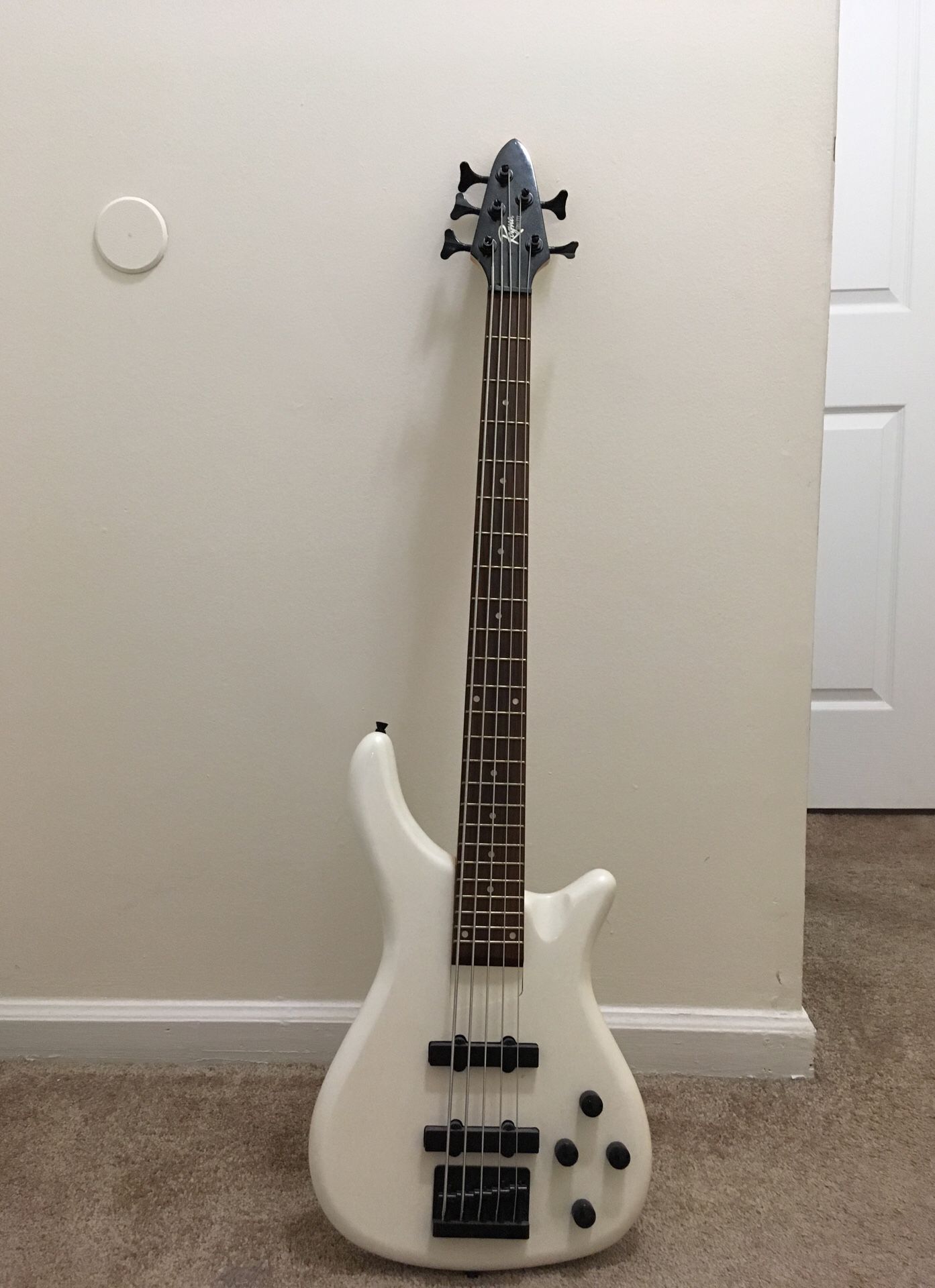 Rogue series 3 5 string bass with squire amp