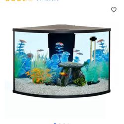 Small Fish Tank 