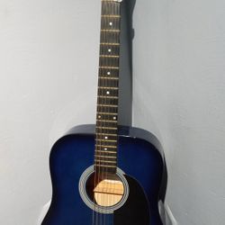 Johnson Guitar