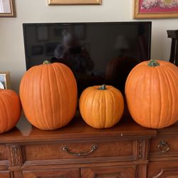 4 Pumpkins For $10.00  two large and two medium 2Mediuml