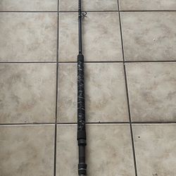 Daiwa Proteus 74XXF Rail Rod/stand Up Fishing Rod