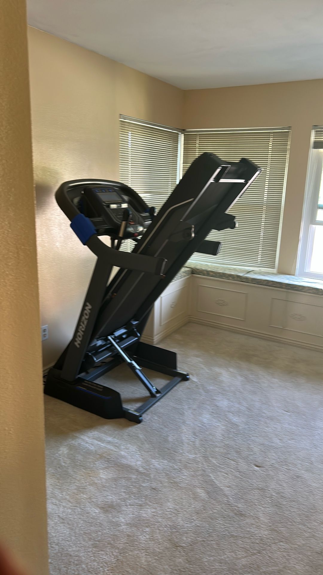 Treadmill, Still Like New Must Go Free