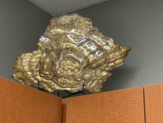 Gold Shell Shaped Platter/ Dish