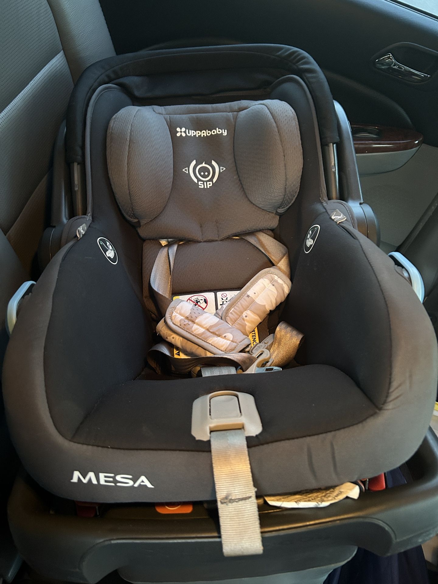 Car Seat