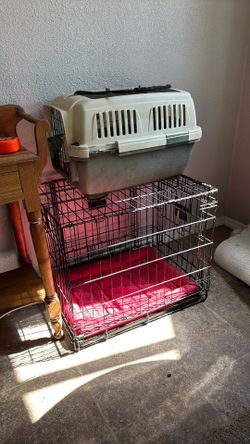 2 kennels access doors on med kennel