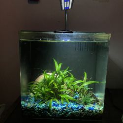 Fish & Aquarium