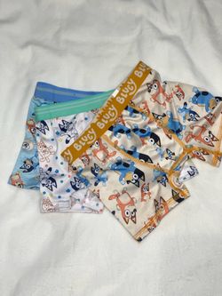 Brand new Bluey underwear