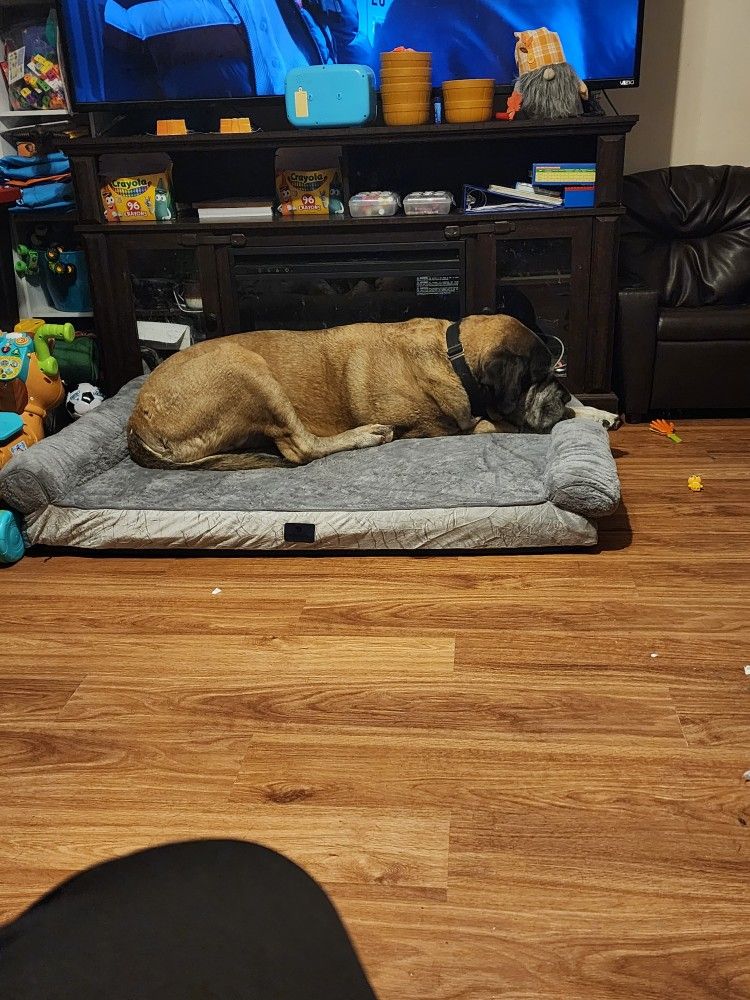 Veehoo Washable XXL Dog Bed for Extra Large Sized Dogs-2 in 1 Dog Couch Bed with Removable Bolster Fitted Sheet Cover, Big Orthopedic Dog Sofa Bed Pet