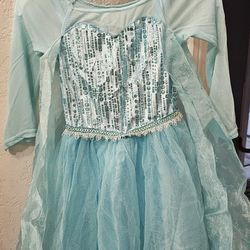 Toddlers Frozen Elsa Dress