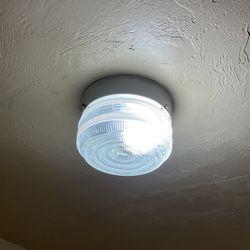 Globed Ceiling Light Fixture