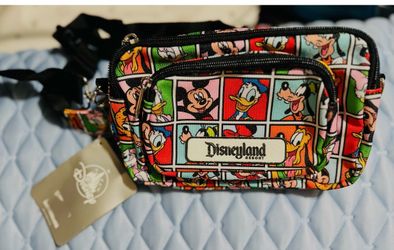 Disney Fanny pack/purse