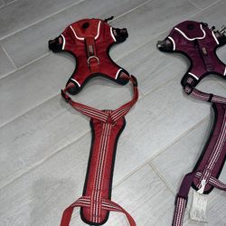 Kong Harness - Large - Red