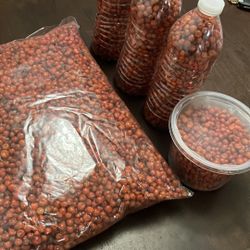 chiltepin 