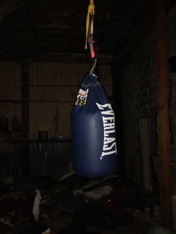 Everlast 50 Lb Punching Bag 