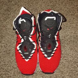 Nike Lebron 17