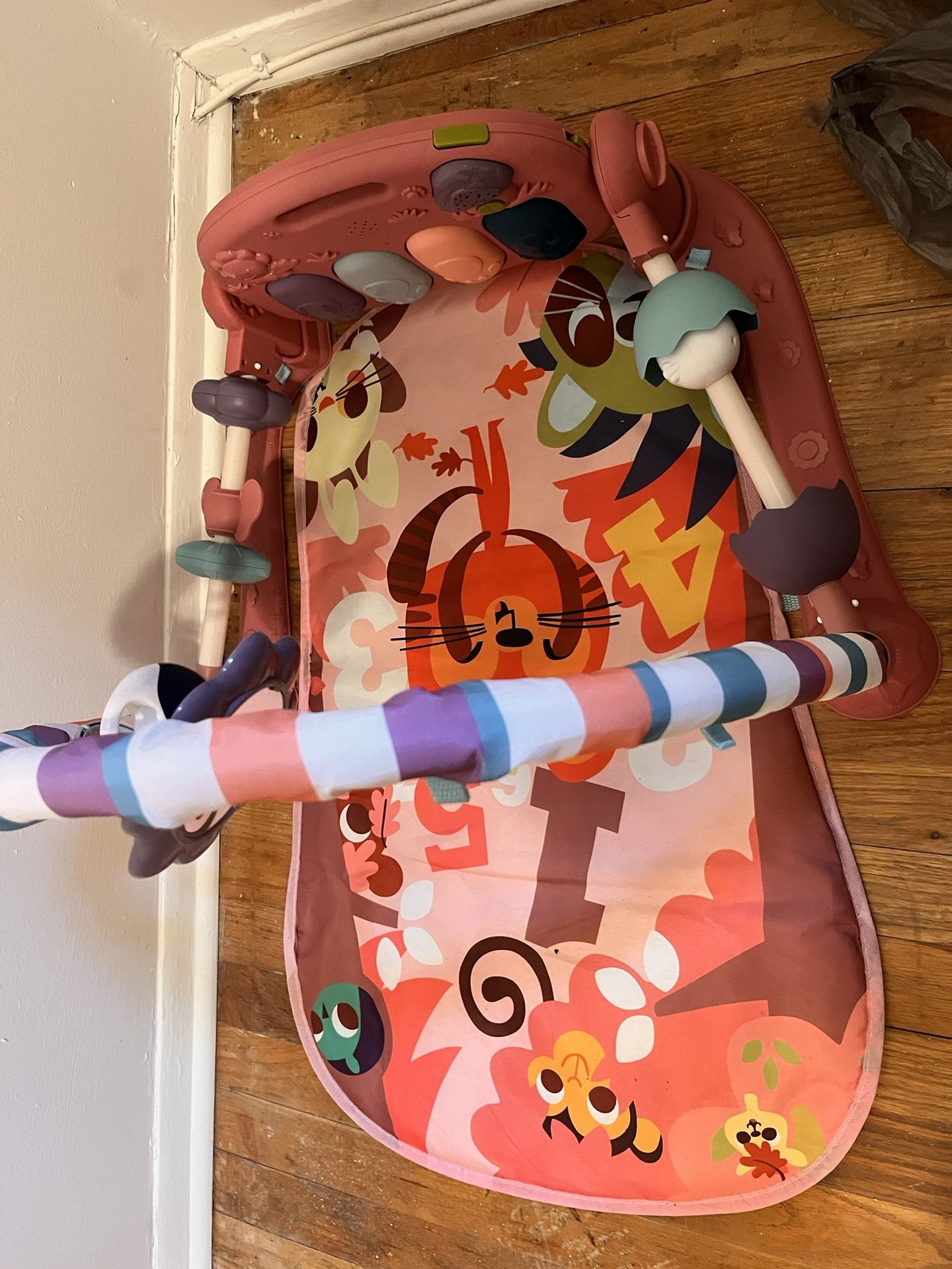 Baby Play Mat