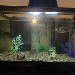 150 Gallon Aquarium Fish Tank With Stand , Filter And Lights 