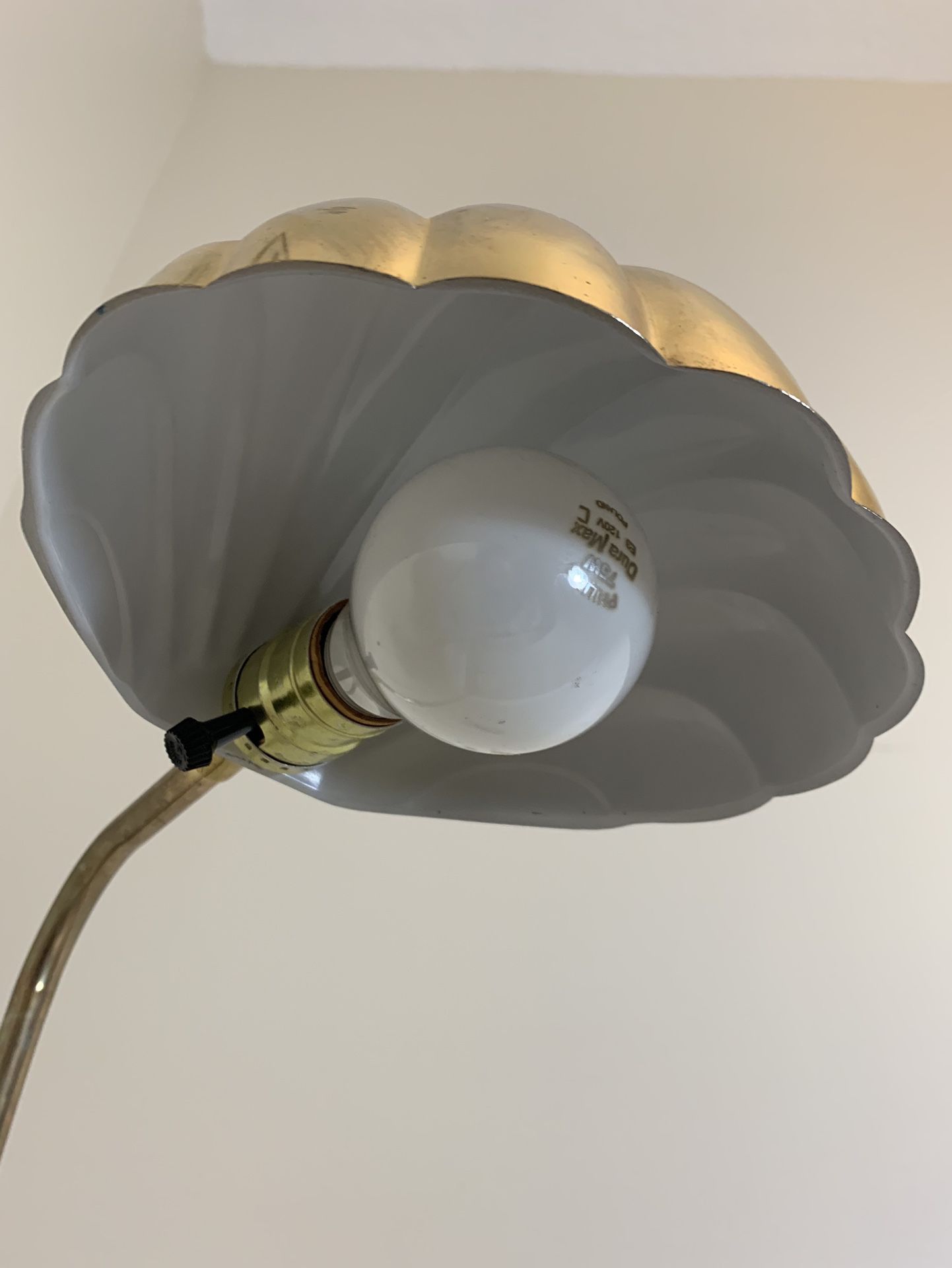 Vintage Brass Clam Lamp - Petite 3’ - 4’