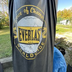 100 Lb Everlast Punching Bag with stand