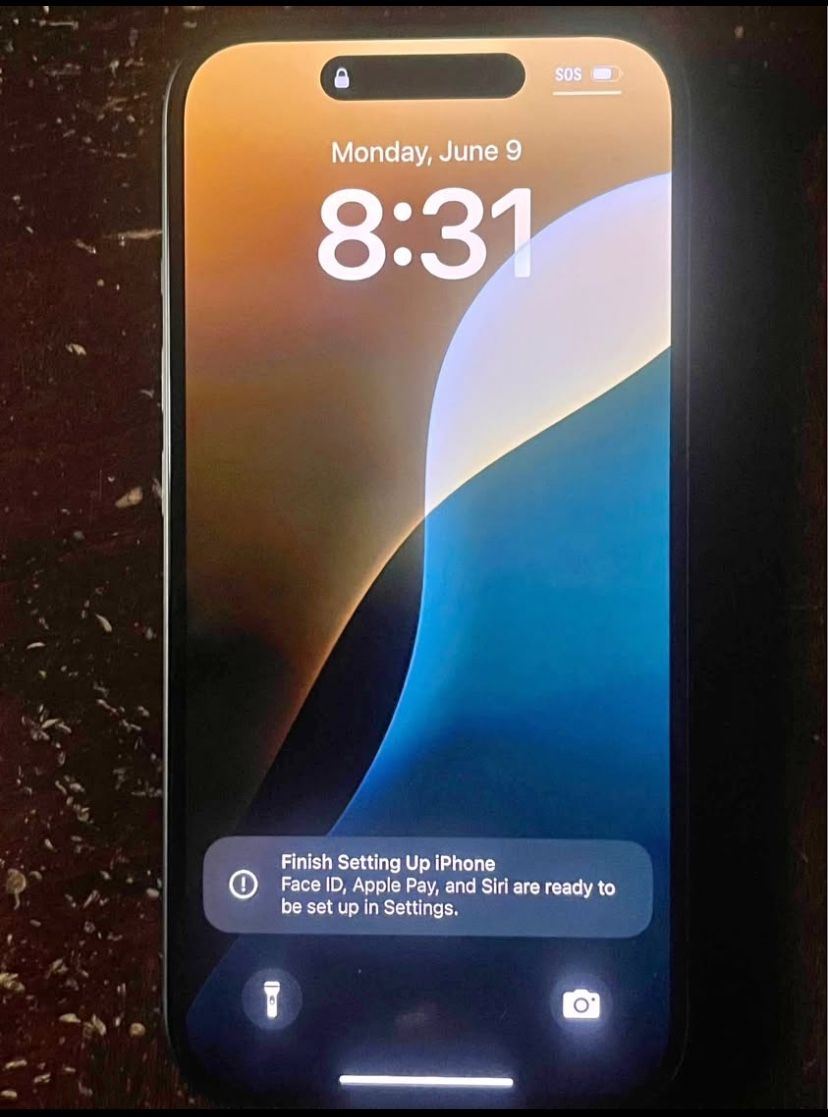 iPhone 16