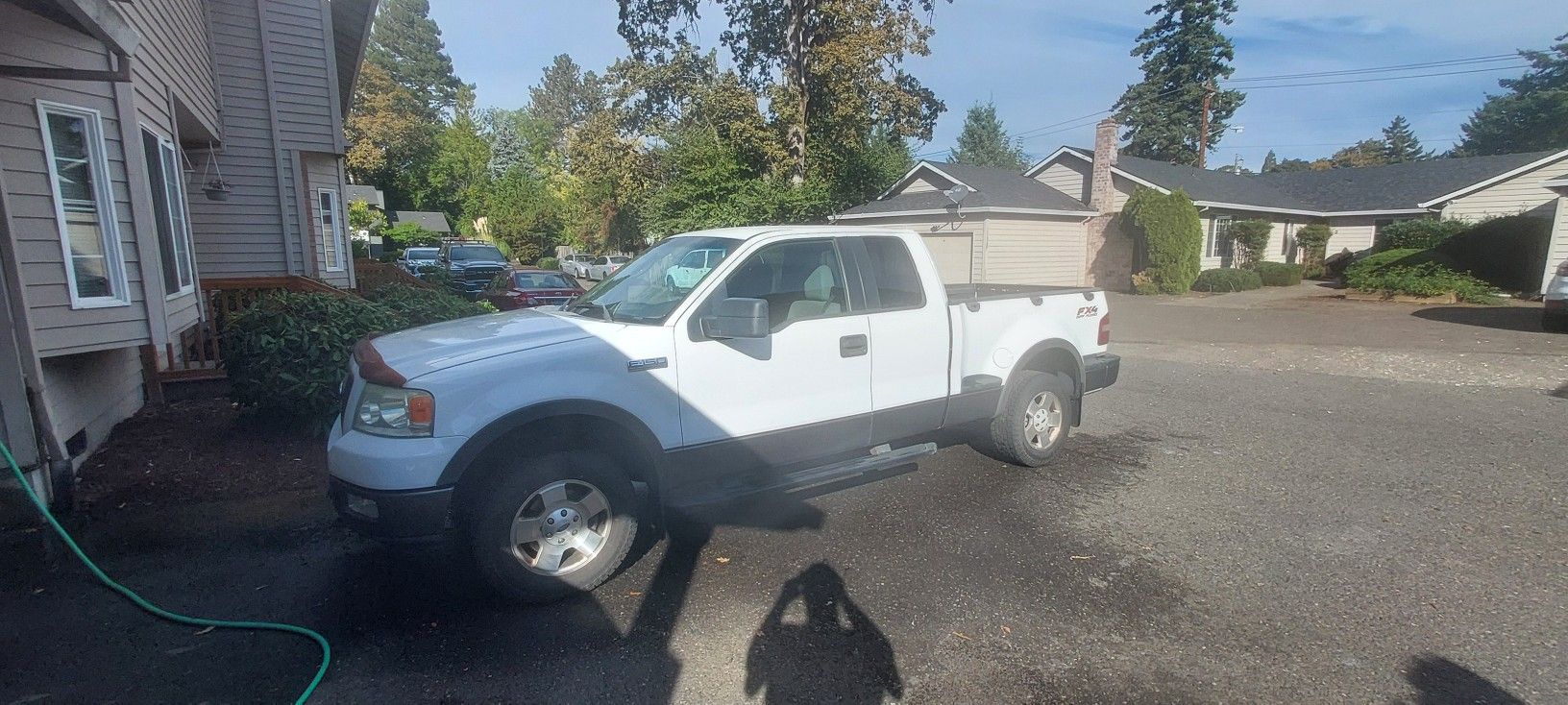 05 Ford F150 Side Step