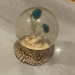 Underwater Sea Turtle Snow Globe with Coral-Style Base