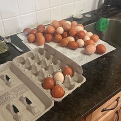 Fresh Farm Eggs