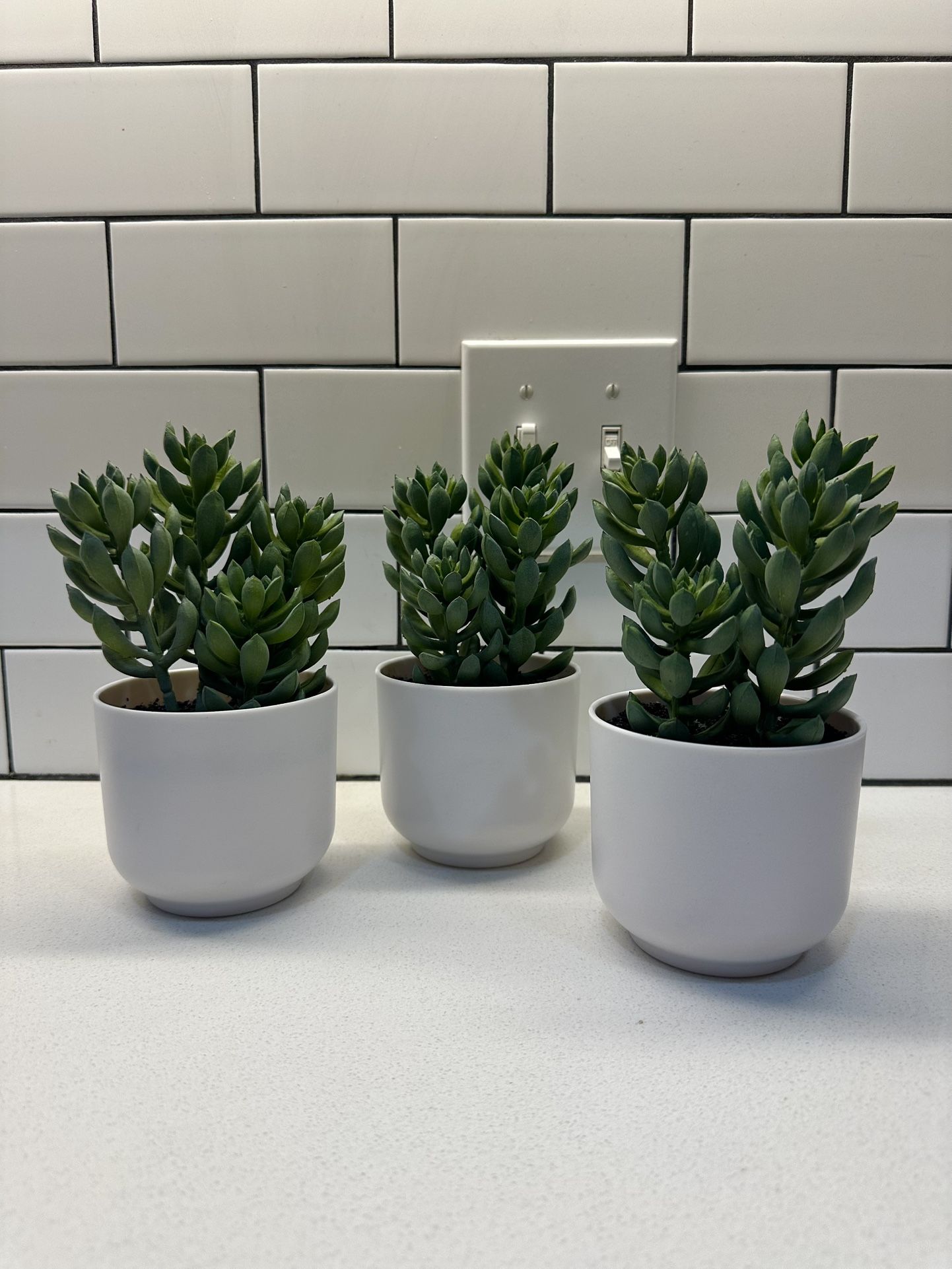 (18) New Faux Target Succulents
