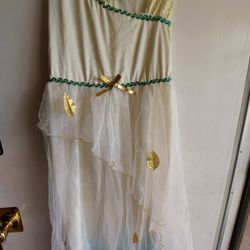 Costume