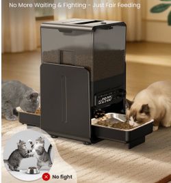 Automatic Cat Feeder