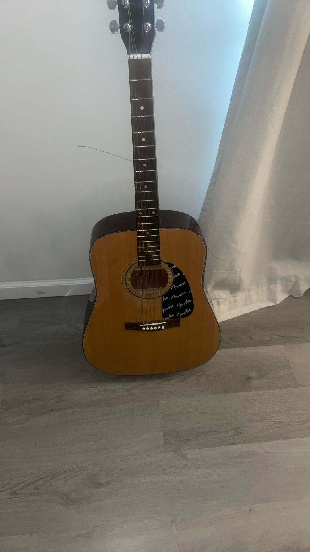 Fender Guitar 🎸