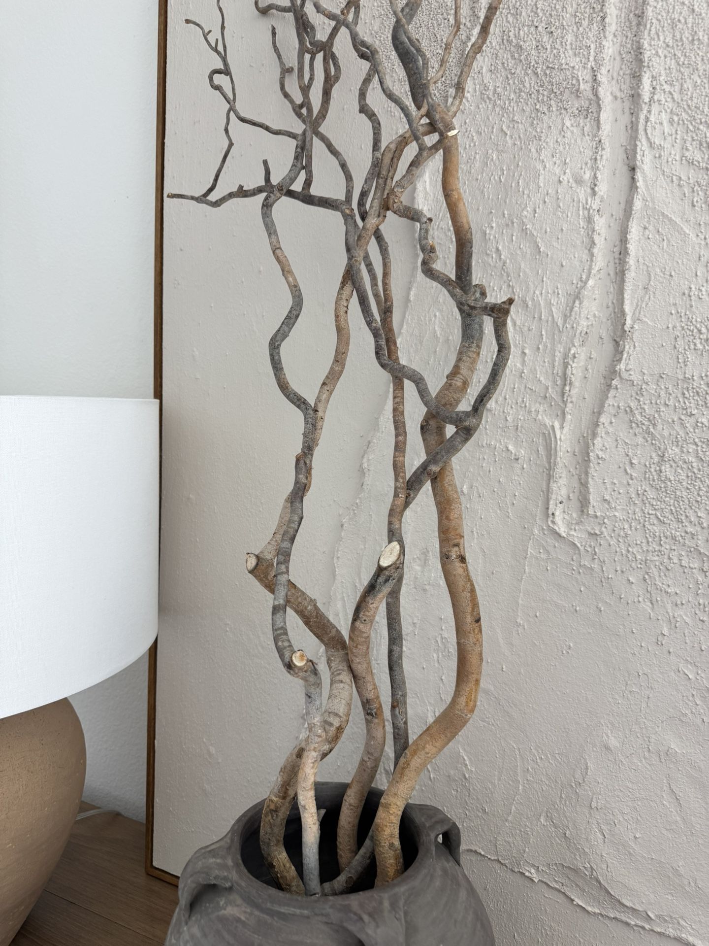 Curly Willow Branches Halloween Natural Home Decor
