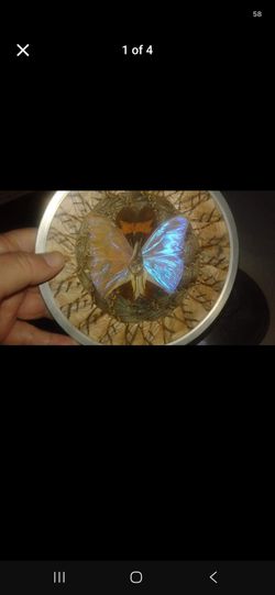 Vintage butterfly decor