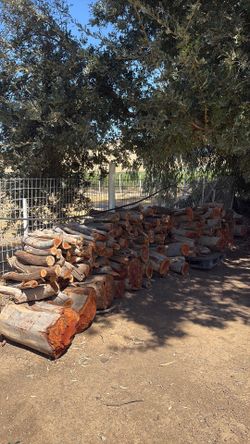 Fire wood (eucalyptus logs)