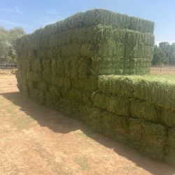 Alfalfa Hay 