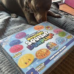 RMS Mystery Dumpling Advent Calendar