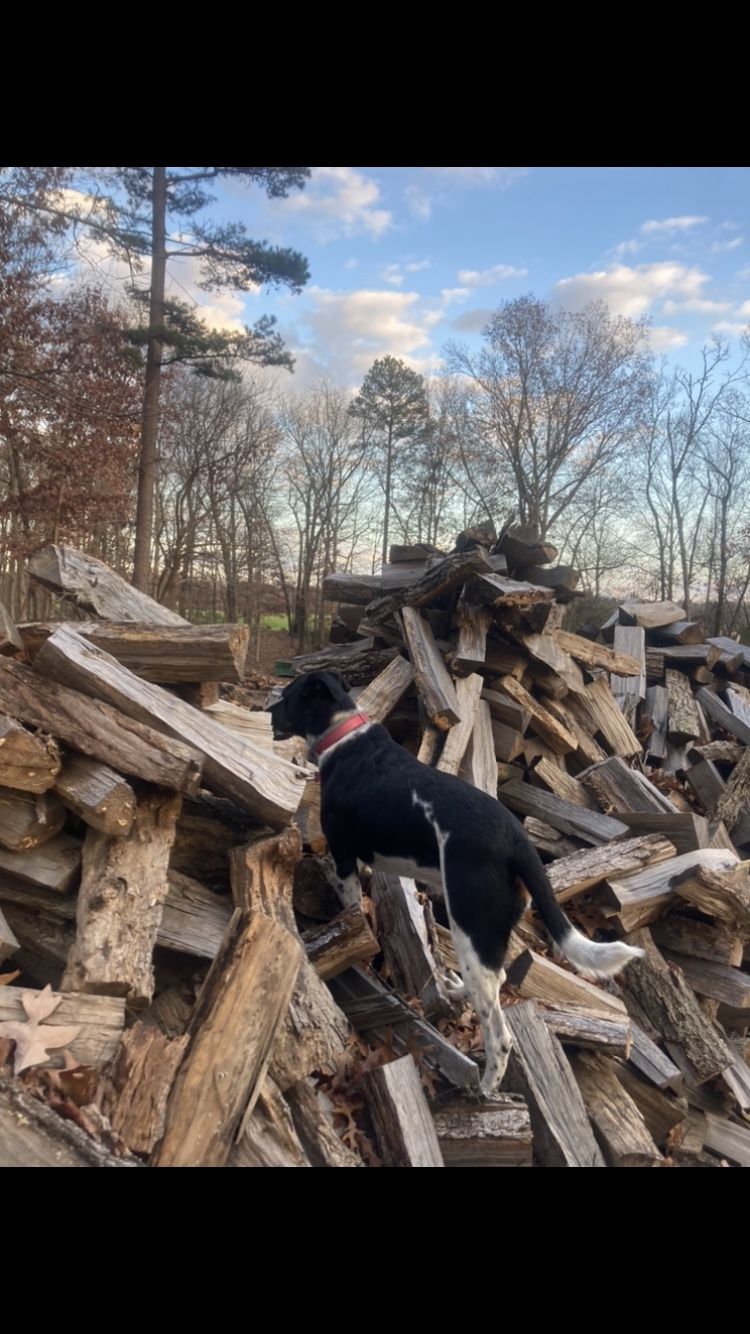 Firewood