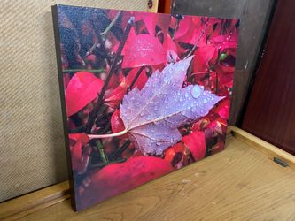 “November Rain” Photograph By Larry McDaniel