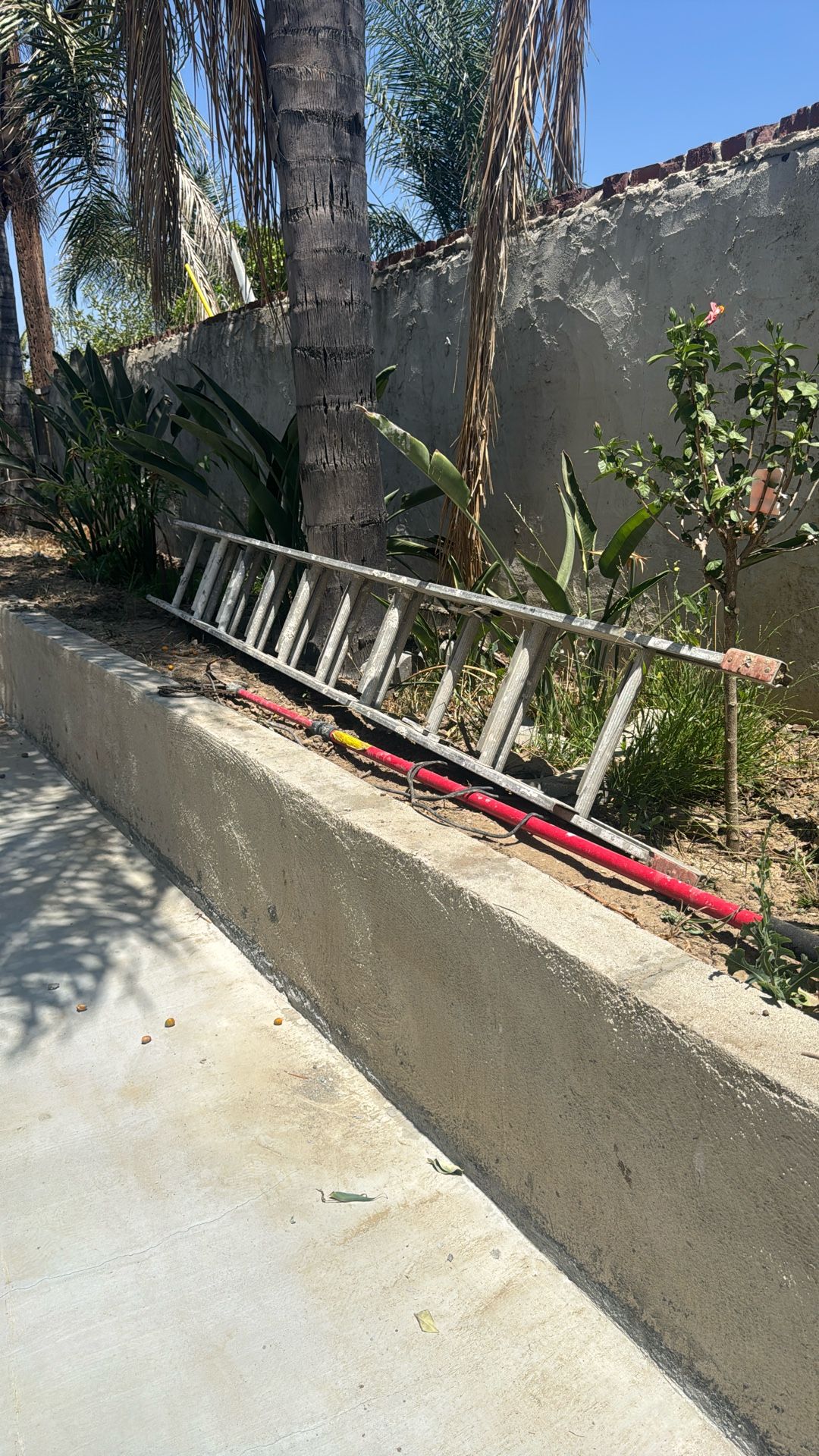 Ladder