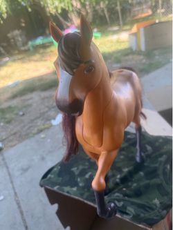 Caballo spirit