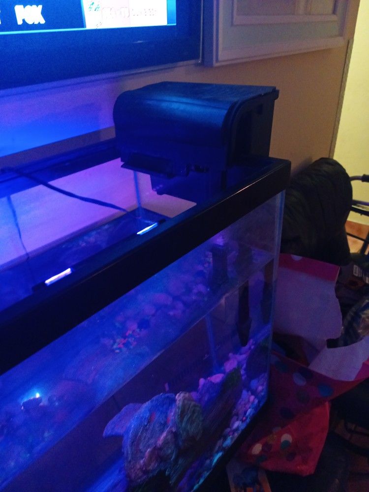 Fish Tank