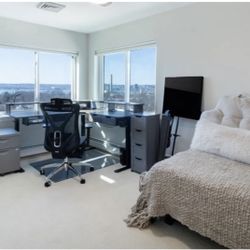 Desk $400 - TV $350- Bed $250- Desk Chair $150 - 