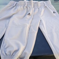 Baseball pants