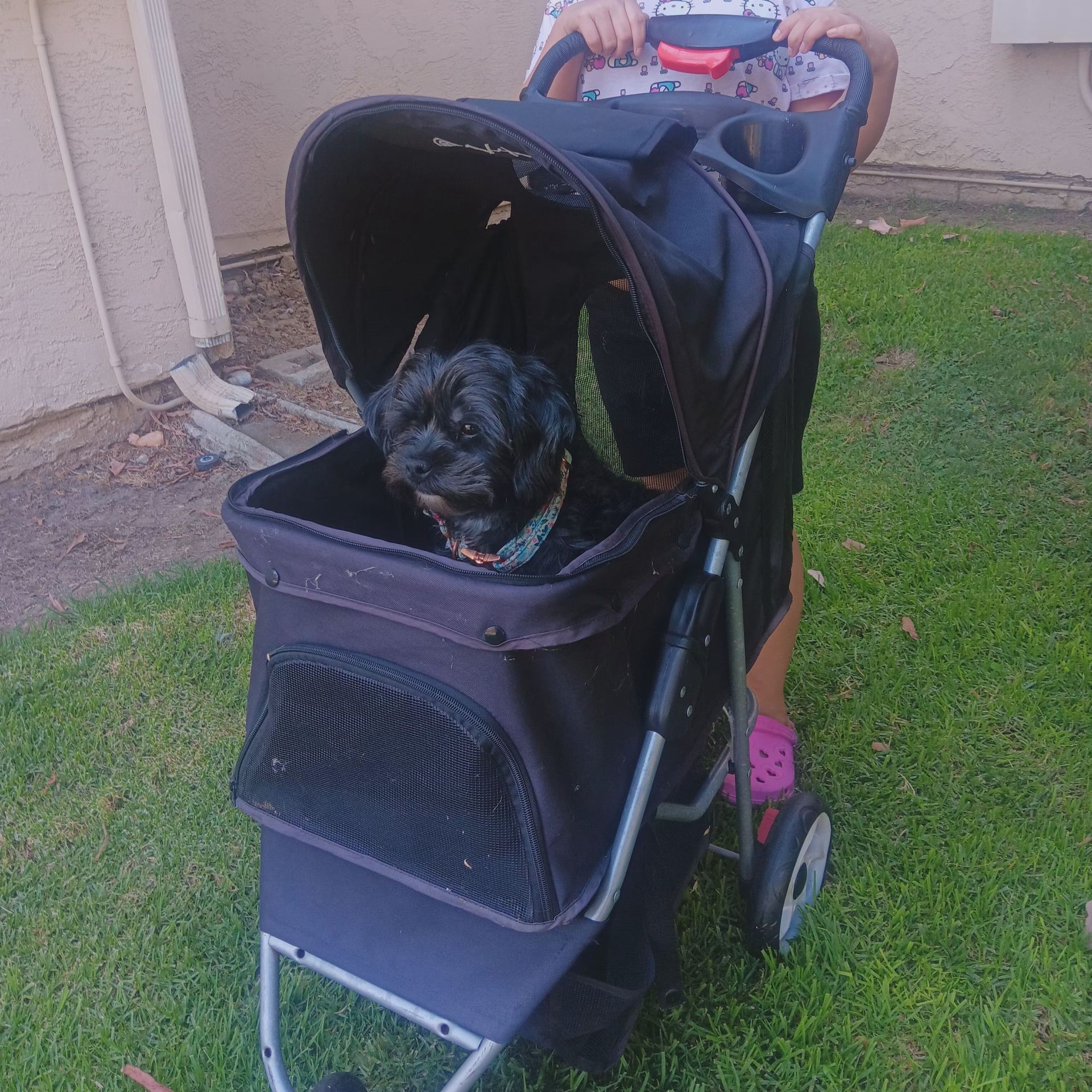 Dog stroller (dog not included of course)