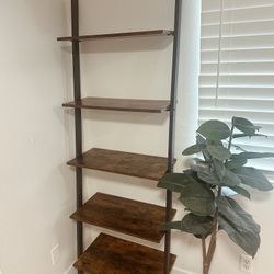 Brand New 5 Tier Bookshelf