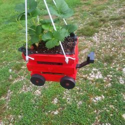 Beautiful Handcrafted Wooden Little Red Wagon Planter