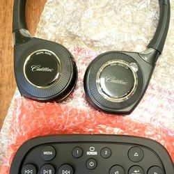 NEW,  GMC/Cadillac Video Entertainment System 