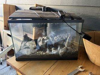 5 Gallon Aquarium With Everything