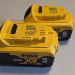 Dewalt Battery Kit 